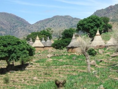 Figure 11 Traditional Cameroonian houses.jpg