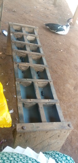 IMG_20191129_114035_2